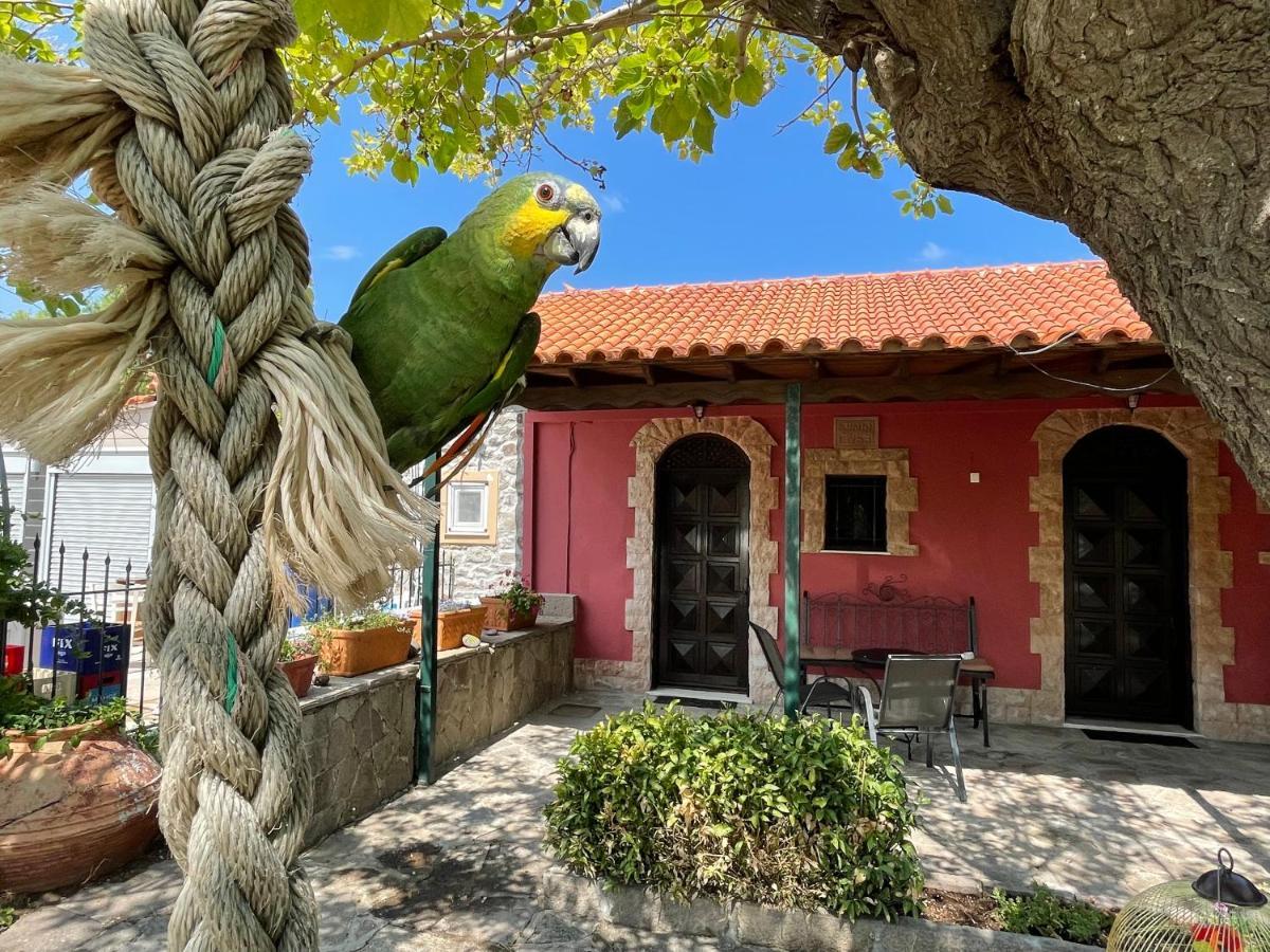 Terracotta Boutique Beach Studios Mythimna Exterior foto